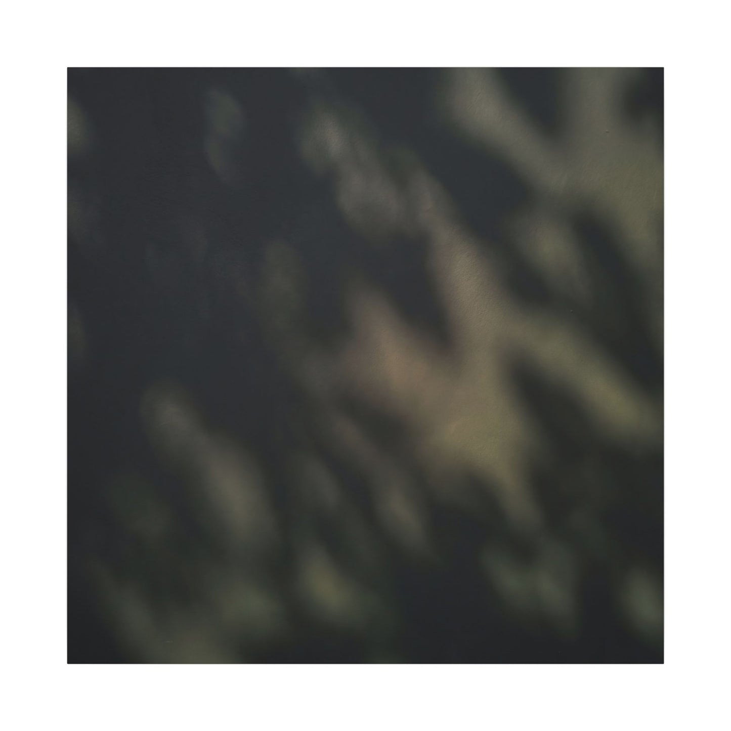 Dappled Shadow Play Canvas Art - Dark Japandi Ma
