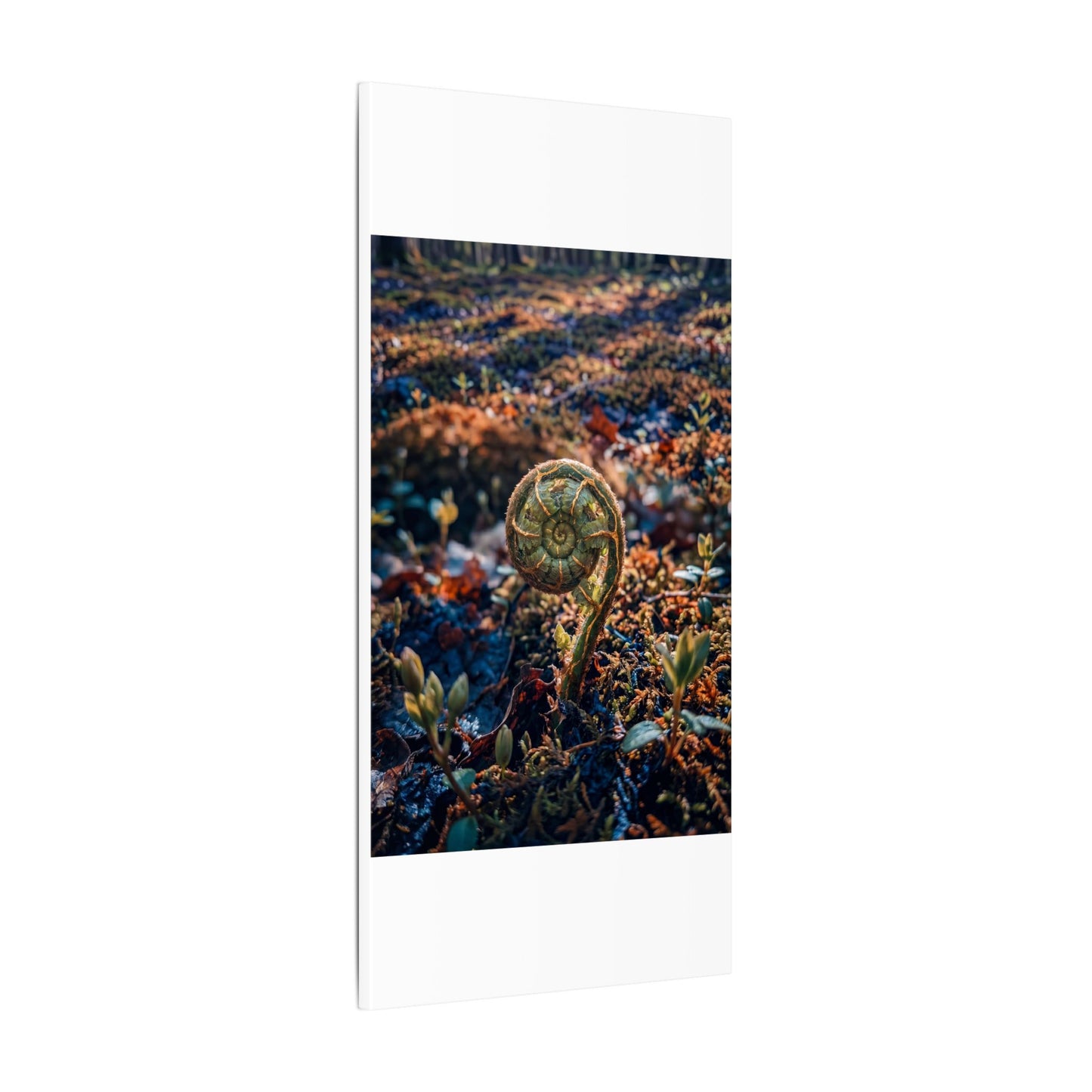 Kintsugi Fern Unfurling in Dappled | Gold Vein Canvas Art