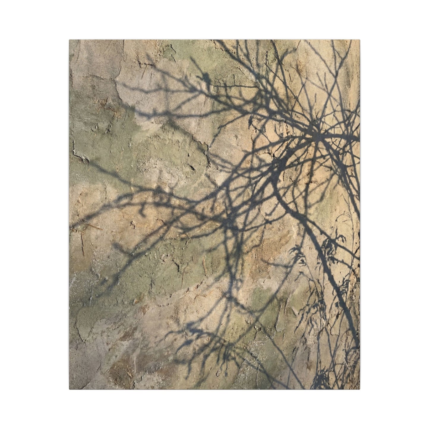 Japandi Shadow Play in Golden Hour | Texture Canvas Art