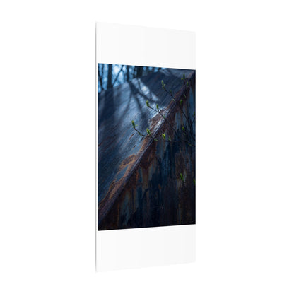 Rust Patina Canvas Art | Spring Dark Japandi Shadow Zen Art