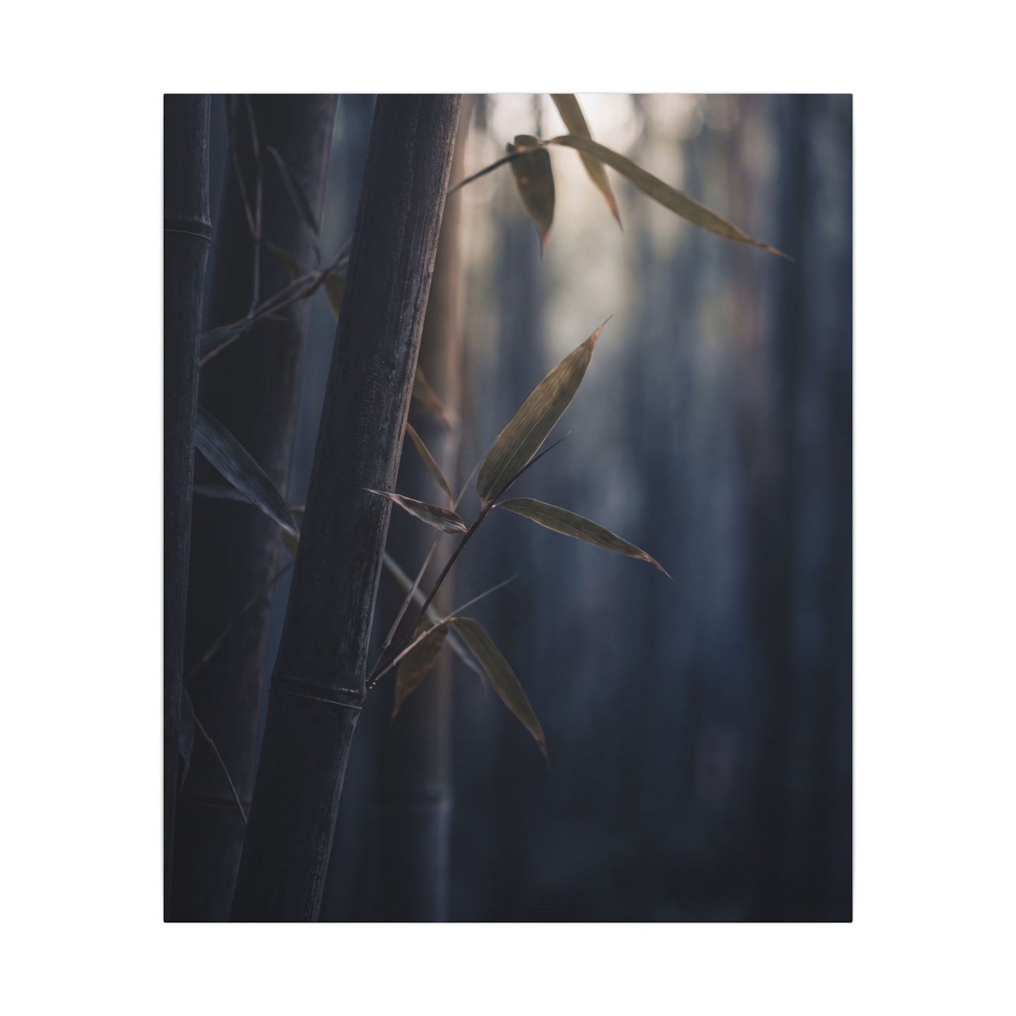 Dark Japandi Bamboo Grove in Dawn | Moody Minimal Canvas Art