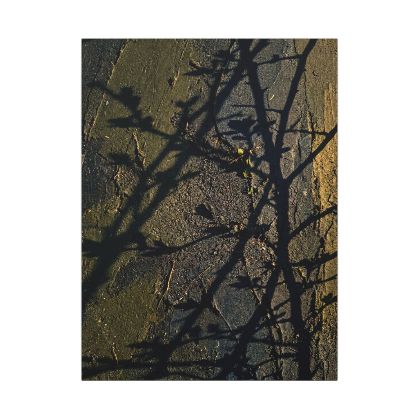 Kanso Shadow Play Canvas Art - Dark Japandi Dark Texture