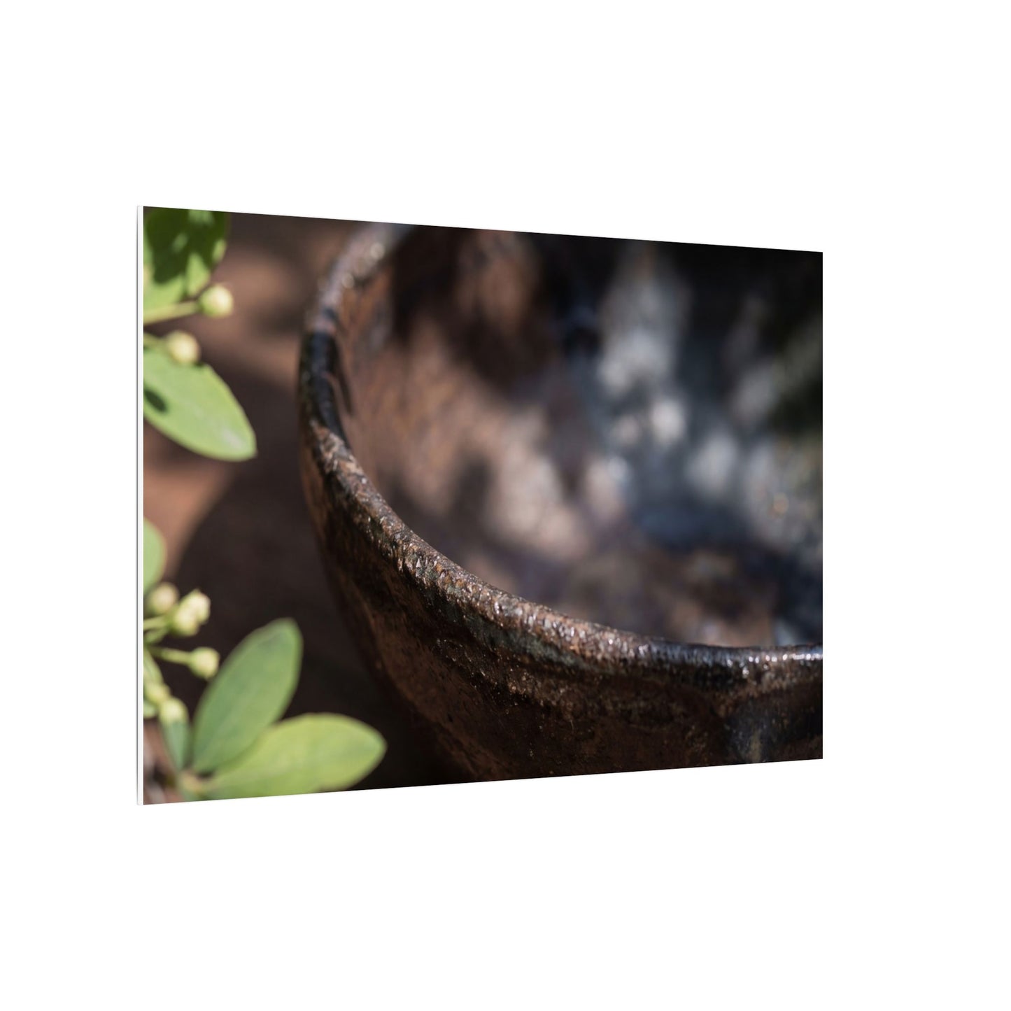 Ceramic Bowl Shadow Zen Canvas Art | Moody Dark Japandi Art