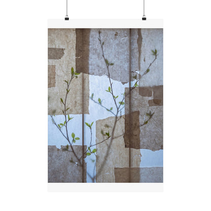 Shoji Screen Spring Wall Art Print | Japandi Earthy Design