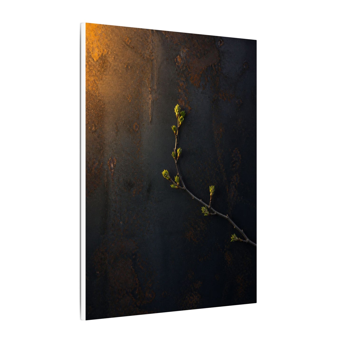Dark Japandi Rust Patina in Golden Hour | Moody Minimal Canvas Art