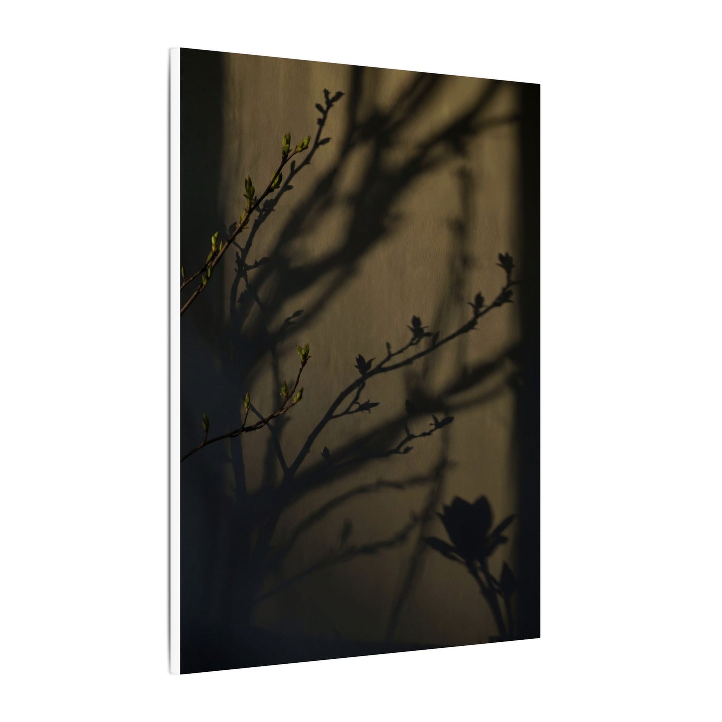 Seijaku Shadow Play Canvas Art - Dark Japandi Charcoal Ink