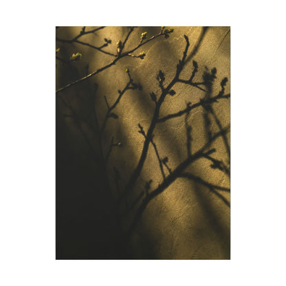 Golden Hour Shadow Play Canvas Art - Dark Japandi Seijaku