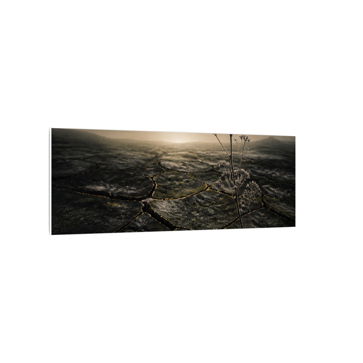Dawn Cracked Earth Canvas Art - Dark Japandi Mono No Aware