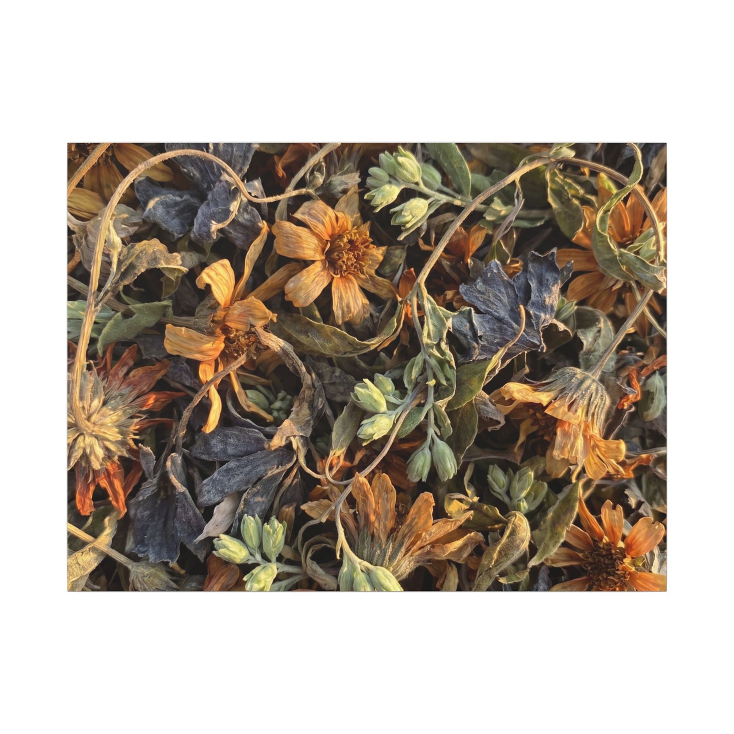 Spring Dried Flowers Japanese Pattern Canvas Art | Warm Decor Art Print
