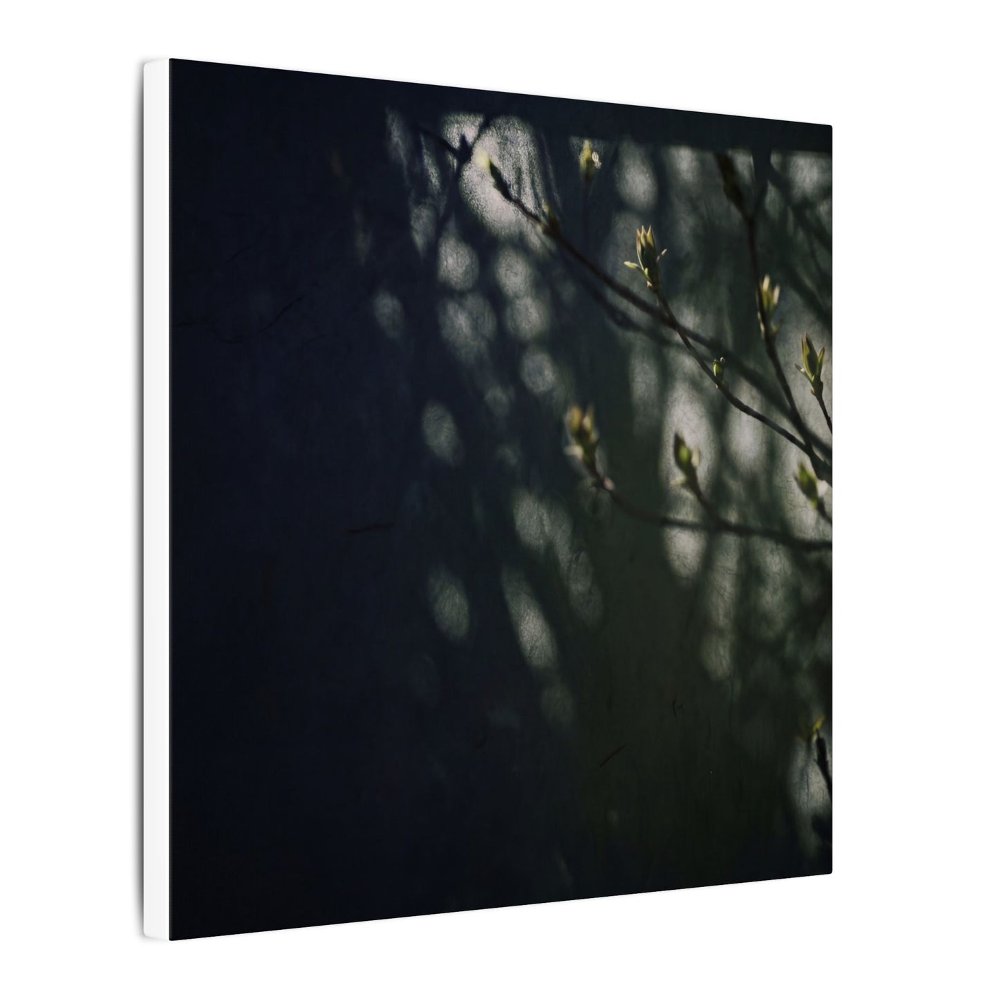 Dark Japandi Shoji Screen in Dappled | Moody Minimal Canvas Art