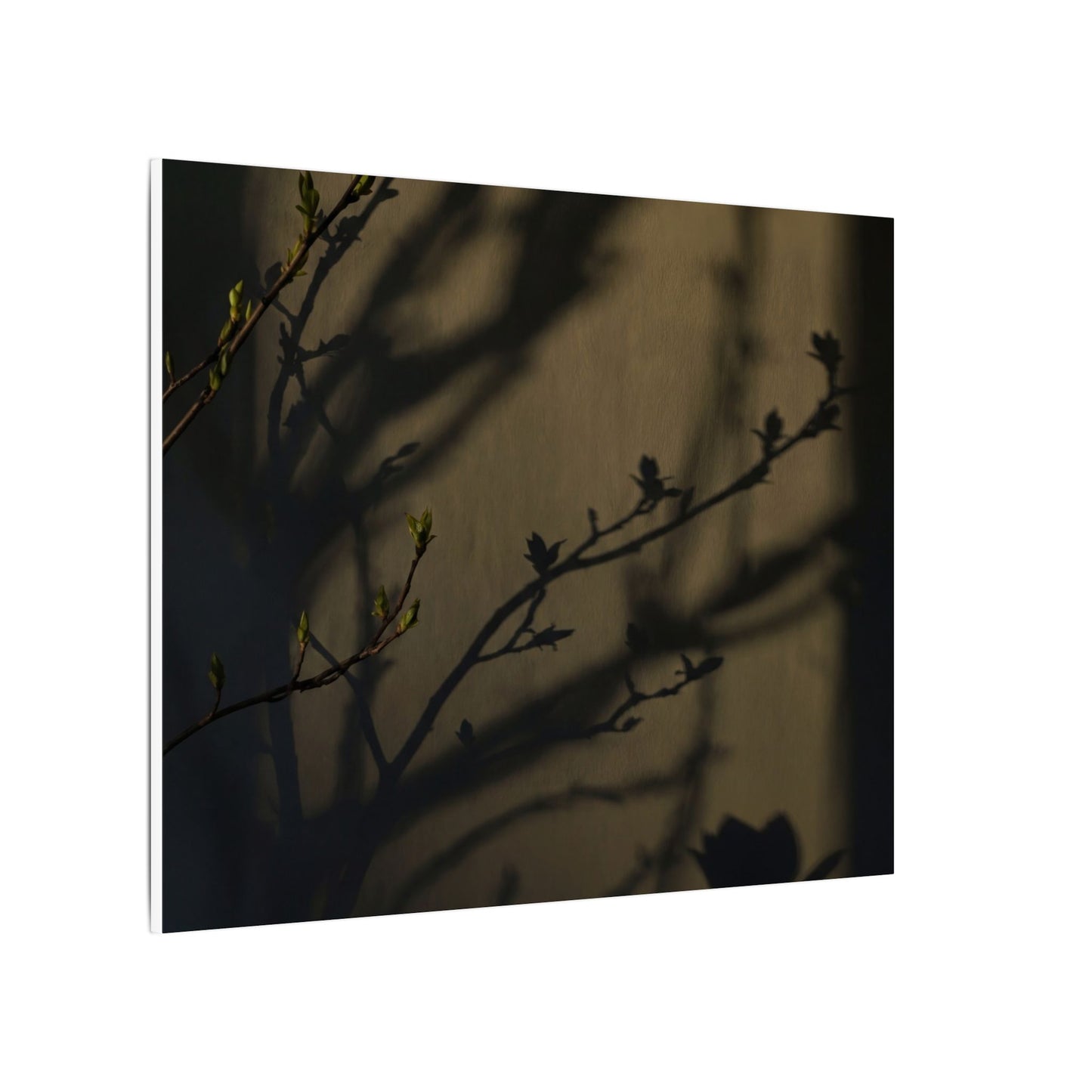 Seijaku Shadow Play Canvas Art - Dark Japandi Charcoal Ink