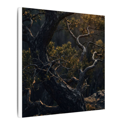 Moody Pine Tree Canvas Art - Moody Minimal Dark Japandi