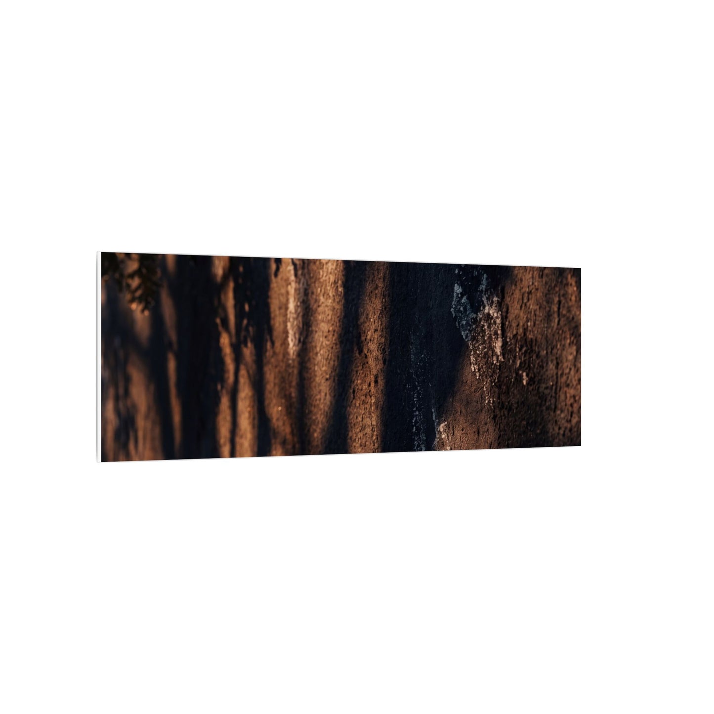 Golden Hour Shadow Play Canvas Art - Dark Japandi Fukinsei