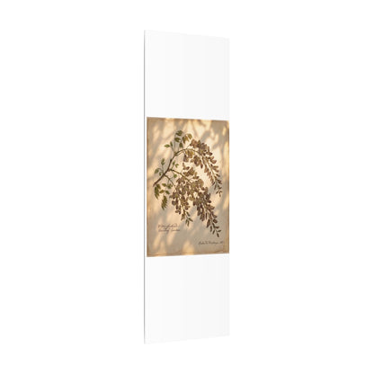 Spring Wisteria Herbarium Canvas Art | Earthy Decor