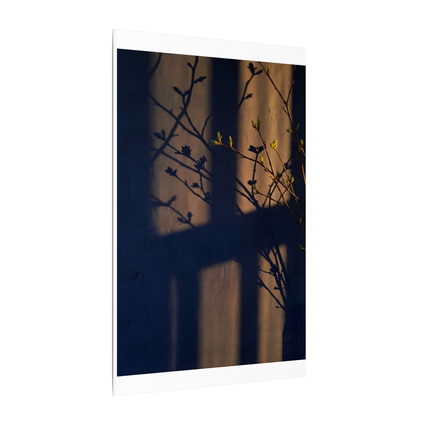 Shadow Play Canvas Art | Spring Dark Japandi Shadow Zen Art