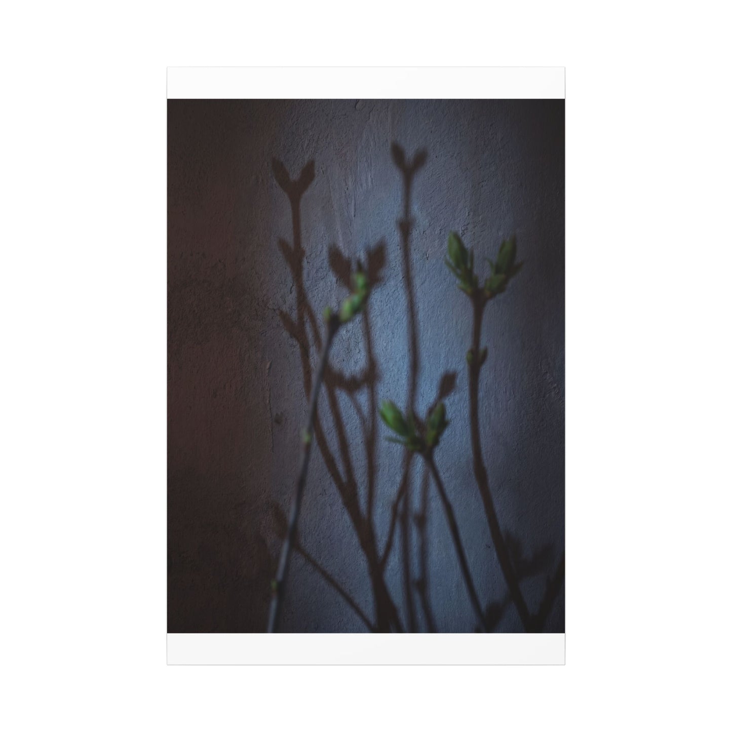 Shadow Play Spring Canvas Art | Dark Japandi Sophisticated Design
