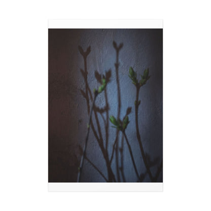 Shadow Play Spring Canvas Art | Dark Japandi Sophisticated Design