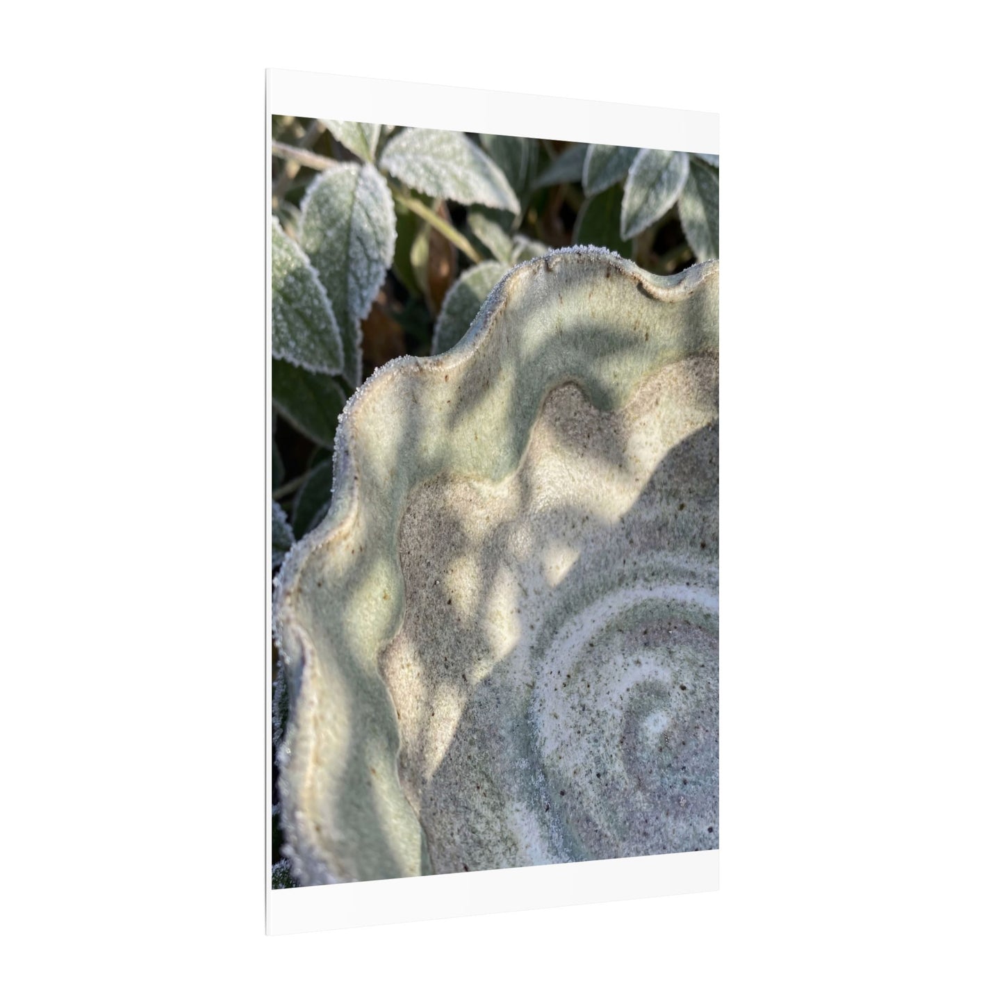 Dappled Ceramic Bowl Canvas Art - Japandi Seijaku