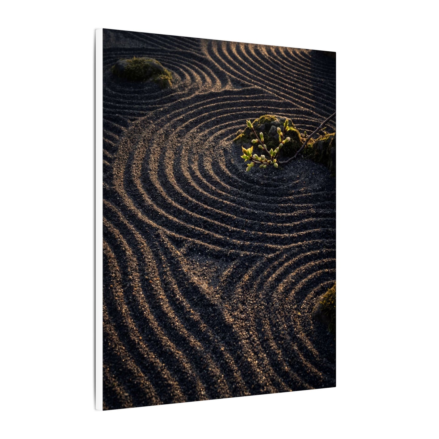 Spring Rock Garden Shadow Zen Canvas Art | Atmospheric Decor