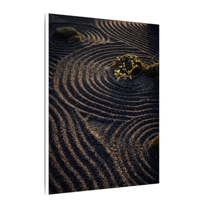 Spring Rock Garden Shadow Zen Canvas Art | Atmospheric Decor