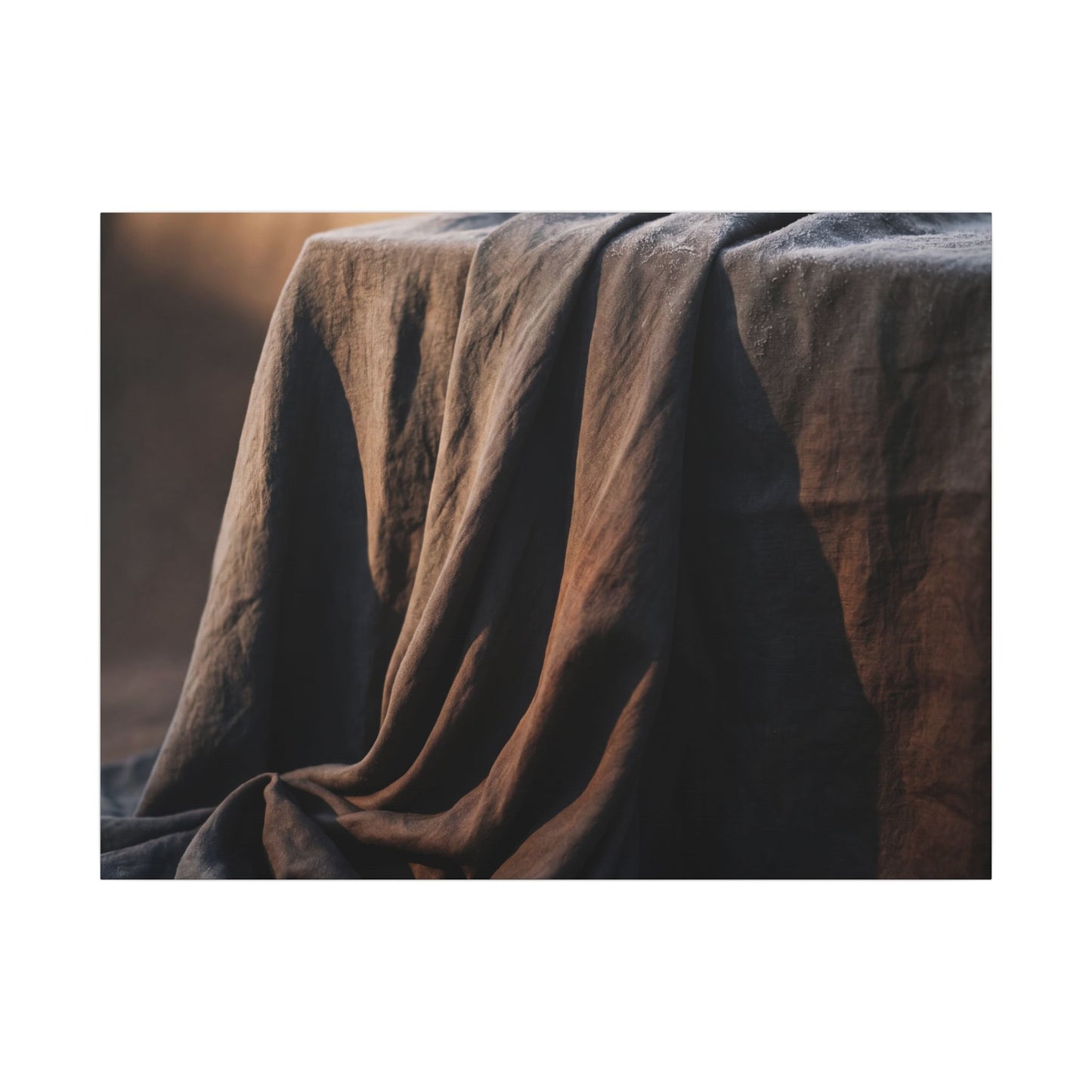 Silk Drape Canvas Art | Winter Dark Japandi Shadow Zen Art