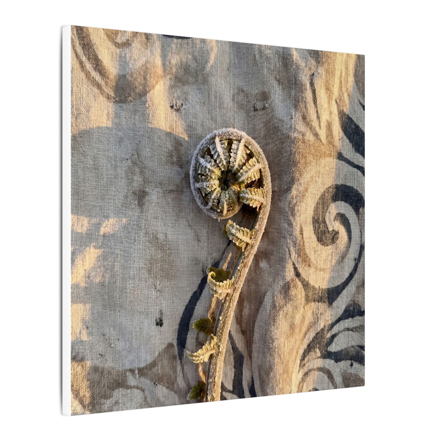 Fern Unfurling Canvas Art | Winter Japandi Japanese Pattern Art