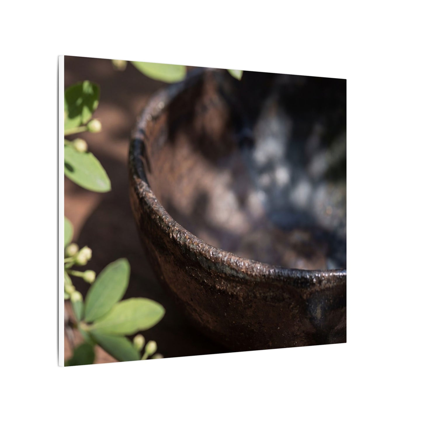 Ceramic Bowl Shadow Zen Canvas Art | Moody Dark Japandi Art