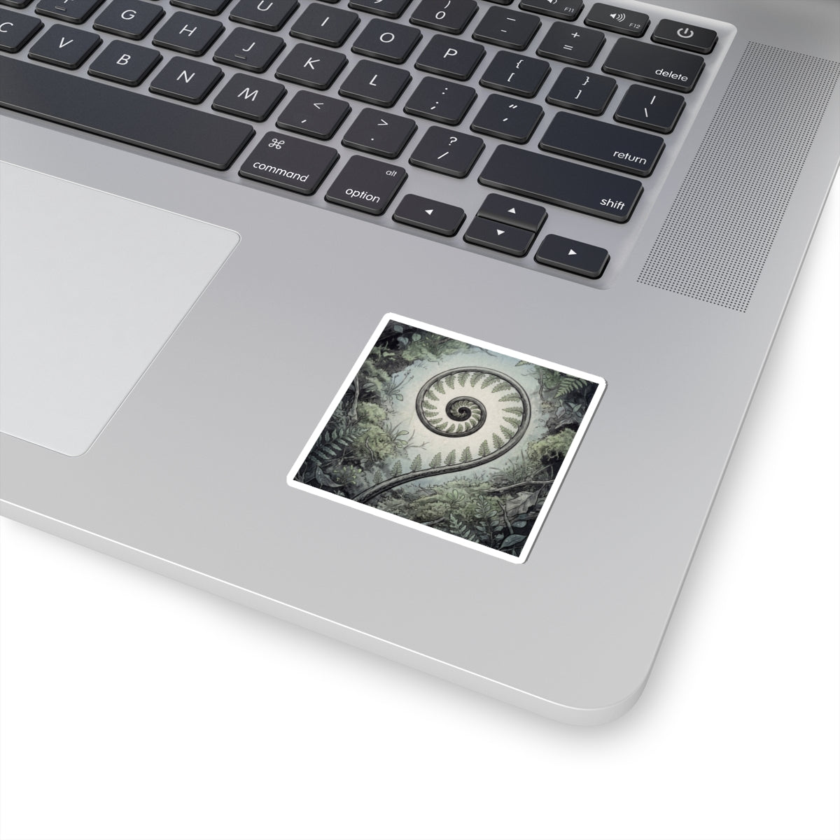 Dawn Fern Unfurling Sticker - Zen Seijaku