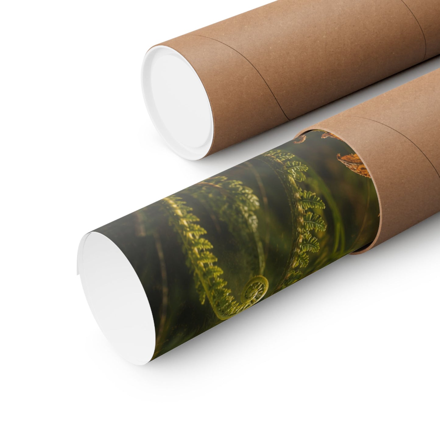 Spring Fern Unfurling Herbarium Wall Art Print | Nostalgic Decor
