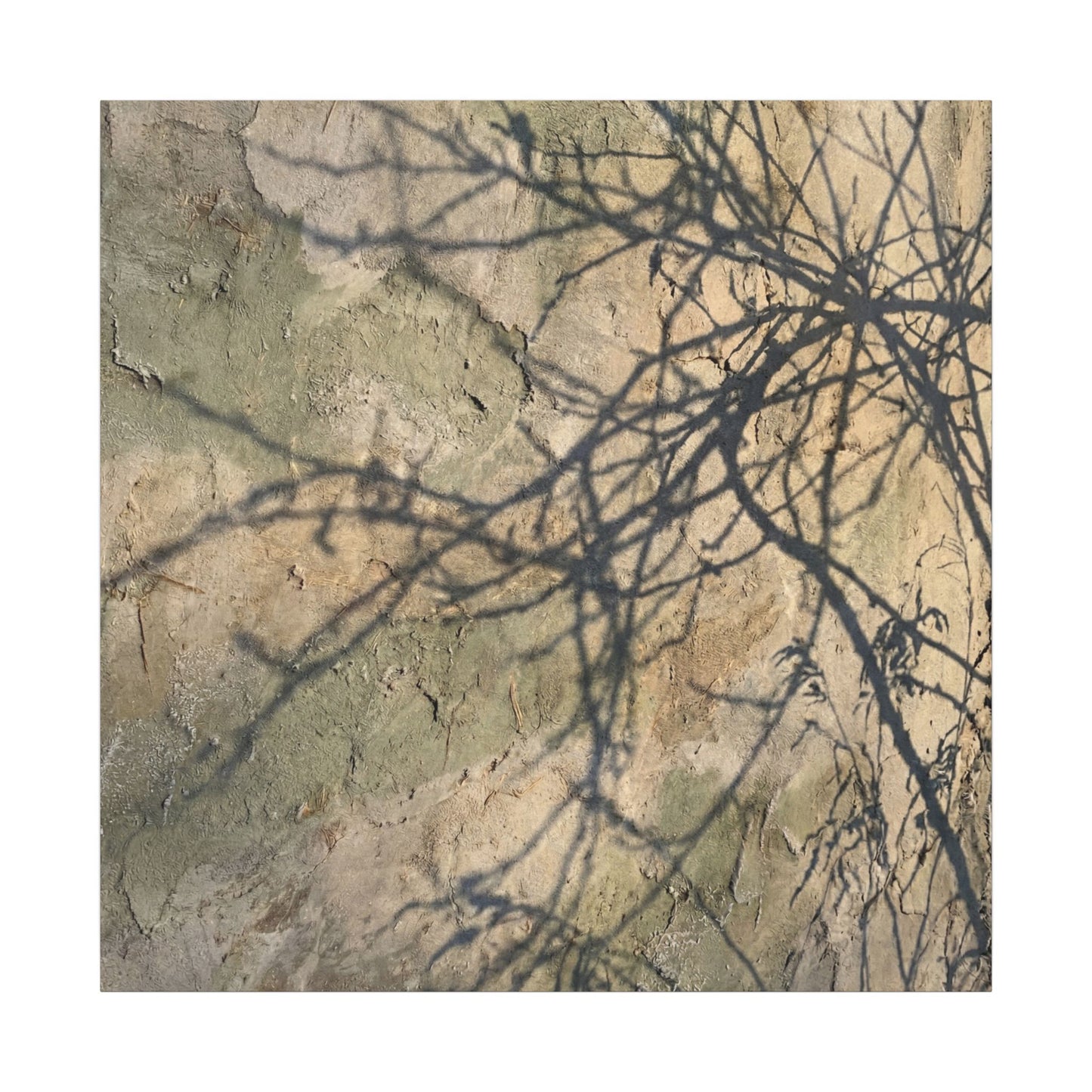 Japandi Shadow Play in Golden Hour | Texture Canvas Art
