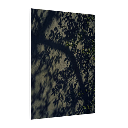 Atmospheric Shadow Play Canvas Art - Moody Minimal Dark Japandi