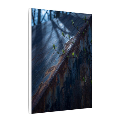 Rust Patina Canvas Art | Spring Dark Japandi Shadow Zen Art