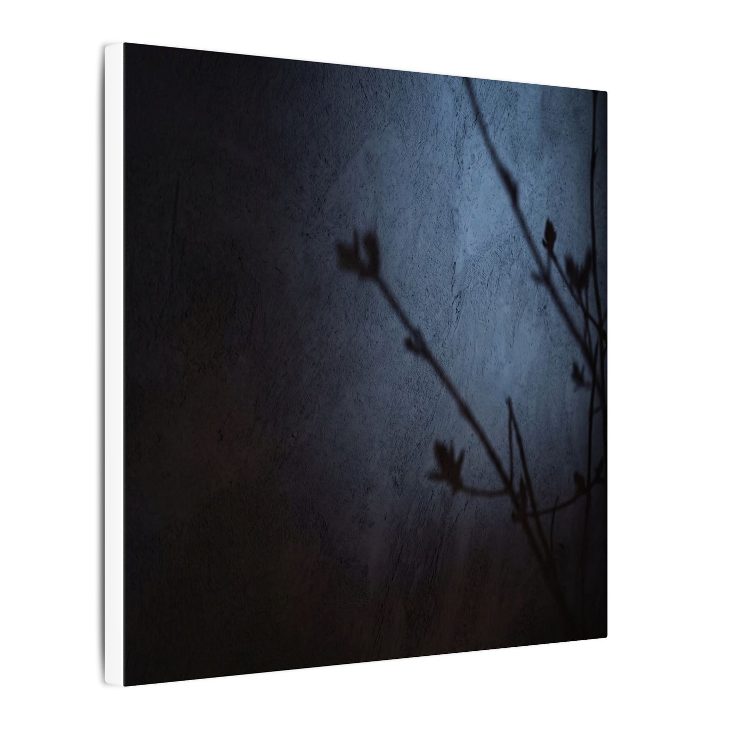 Shadow Play Canvas Art | Spring Dark Japandi Moody Minimal Art