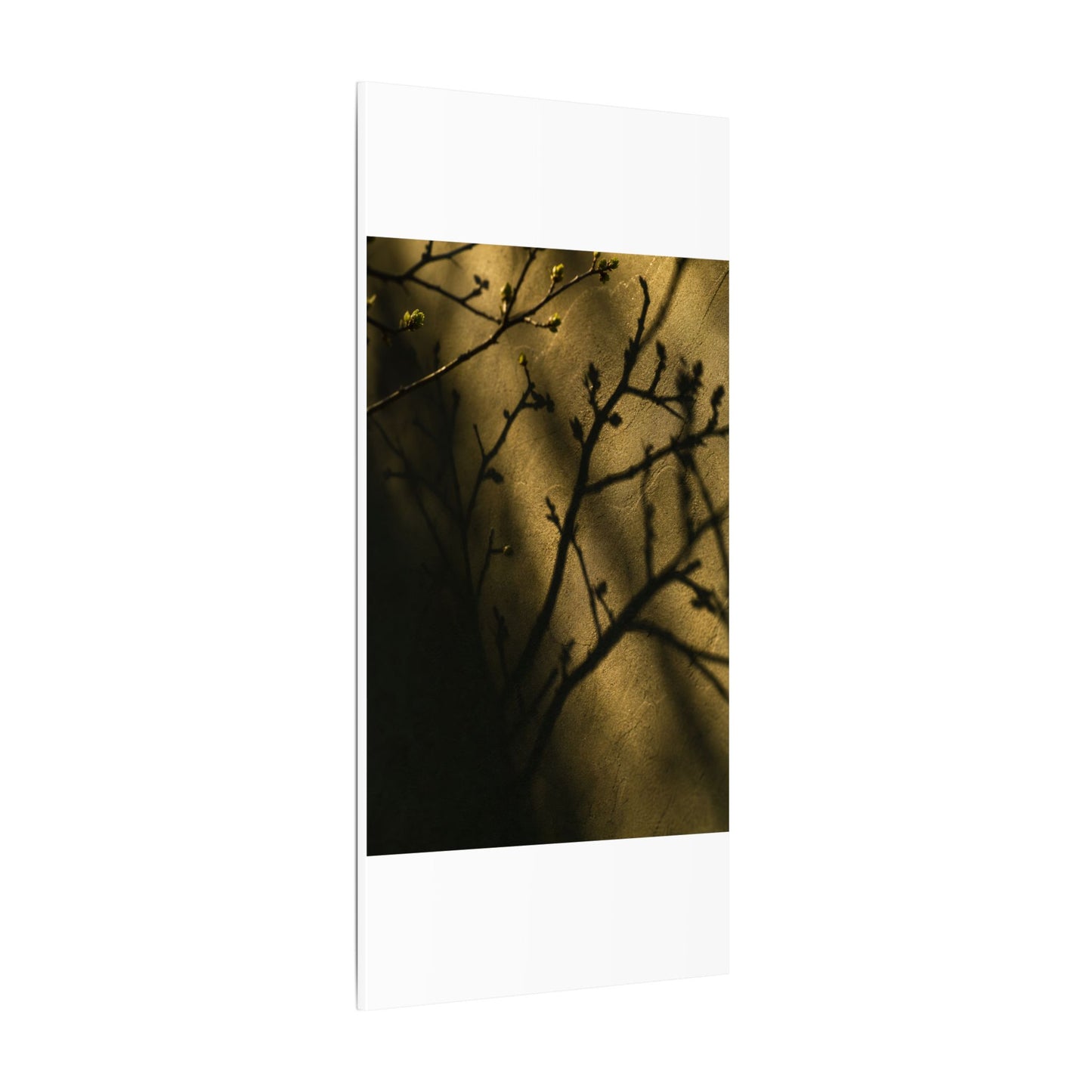 Golden Hour Shadow Play Canvas Art - Dark Japandi Seijaku