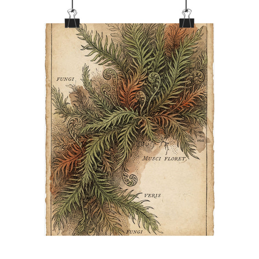 Ma Moss Close Up Wall Art Print - Cottagecore Vintage Botanical Art Print