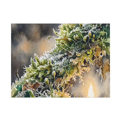 Winter Moss Close Up Watercolor Canvas Art | Neutral Decor
