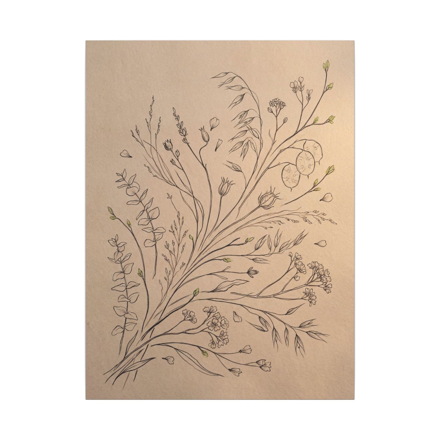 Dried Flowers Canvas Art | Spring Japandi Minimal Line Art
