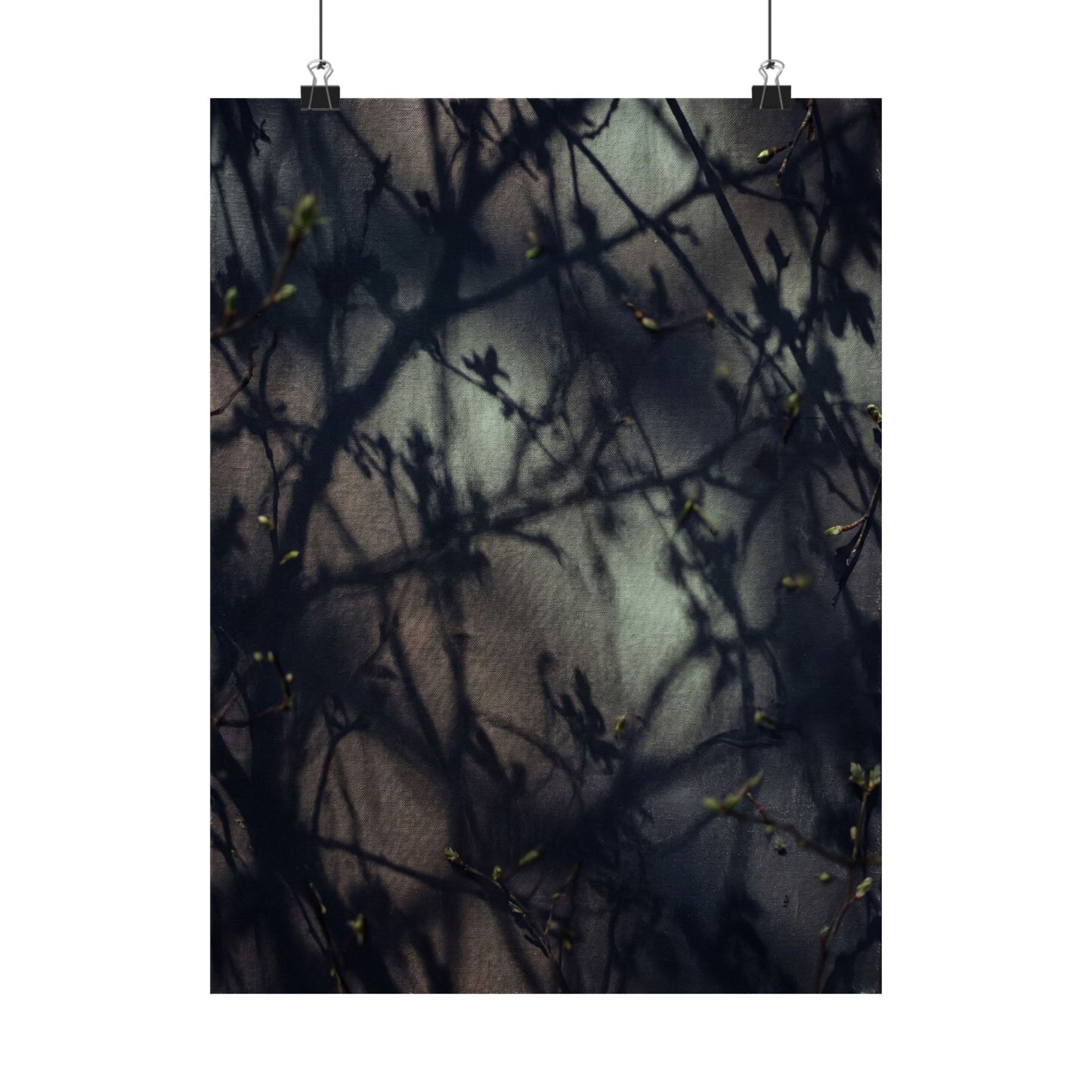 Spring Shadow Play Moody Minimal Wall Art Print | Sophisticated Decor