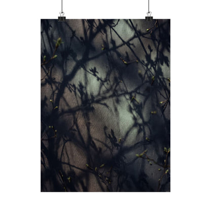 Spring Shadow Play Moody Minimal Wall Art Print | Sophisticated Decor