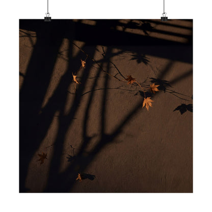 Autumn Shadow Play Shadow Zen Wall Art Print | Sophisticated Decor