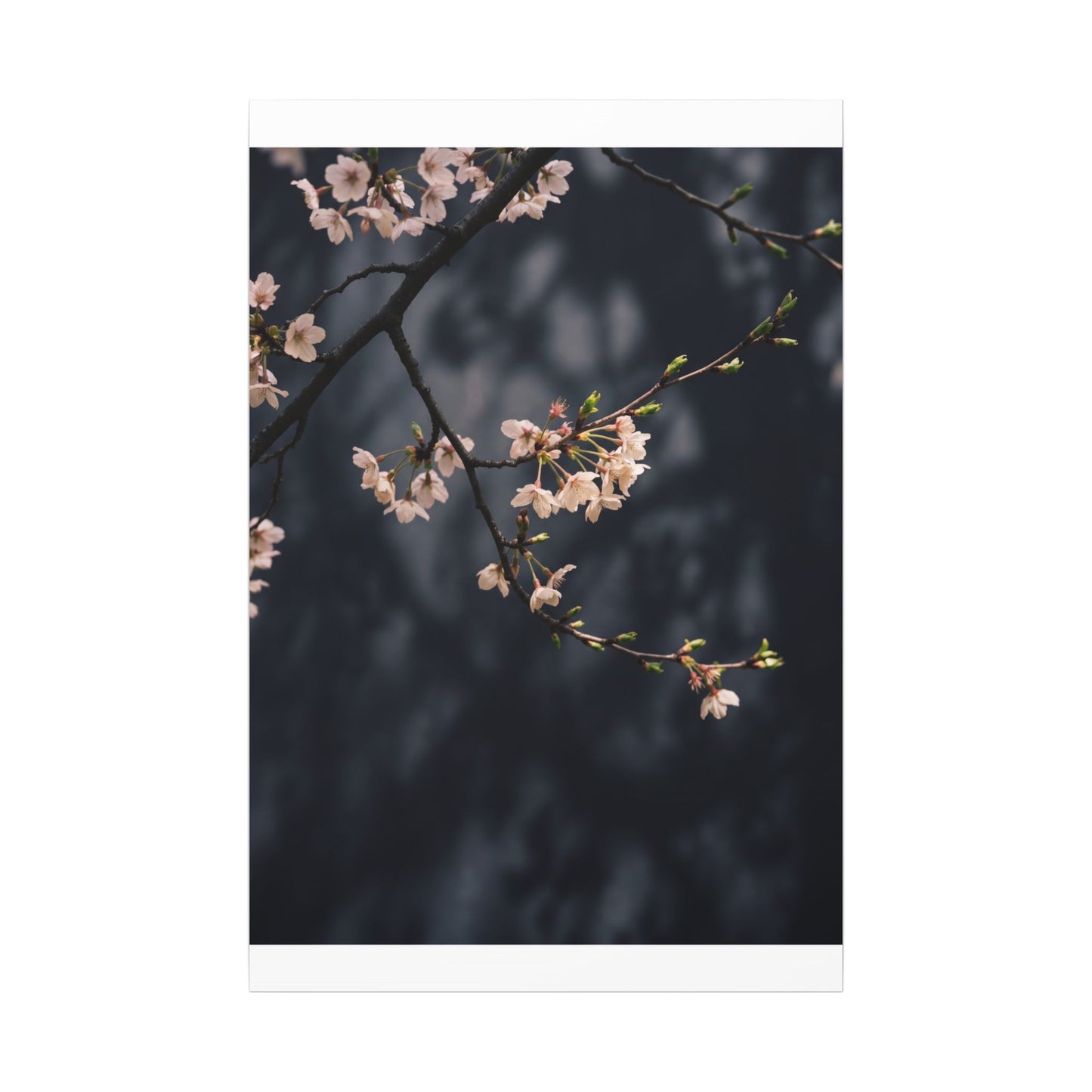 Cherry Blossom Moody Minimal Canvas Art | Bold Dark Japandi Art