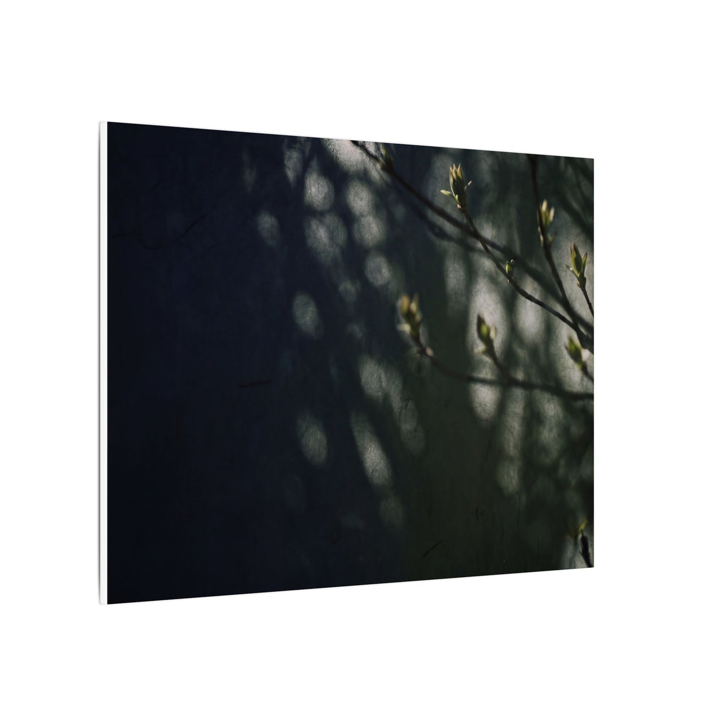 Dark Japandi Shoji Screen in Dappled | Moody Minimal Canvas Art