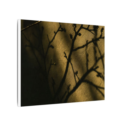 Golden Hour Shadow Play Canvas Art - Dark Japandi Seijaku