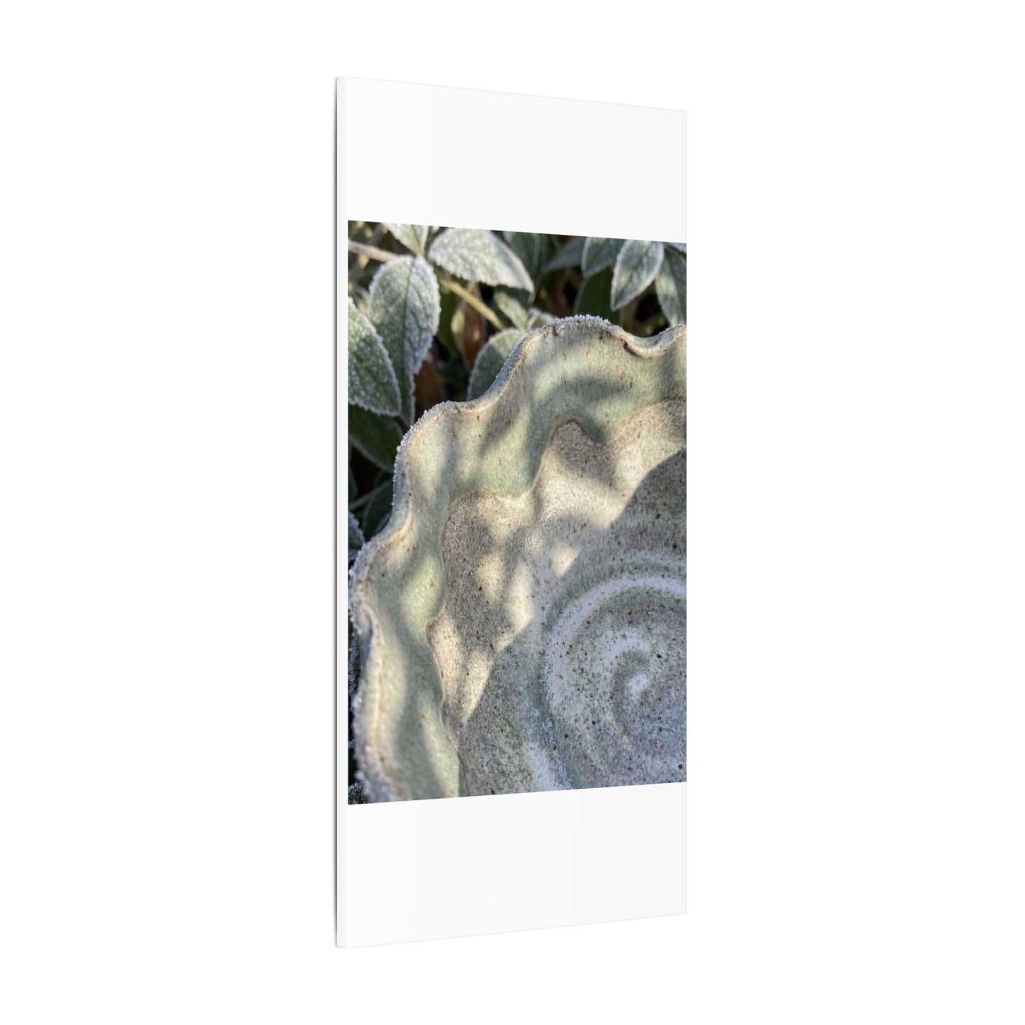 Dappled Ceramic Bowl Canvas Art - Japandi Seijaku