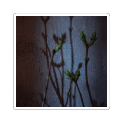 Shadow Play Spring Sticker | Dark Japandi Moody Design