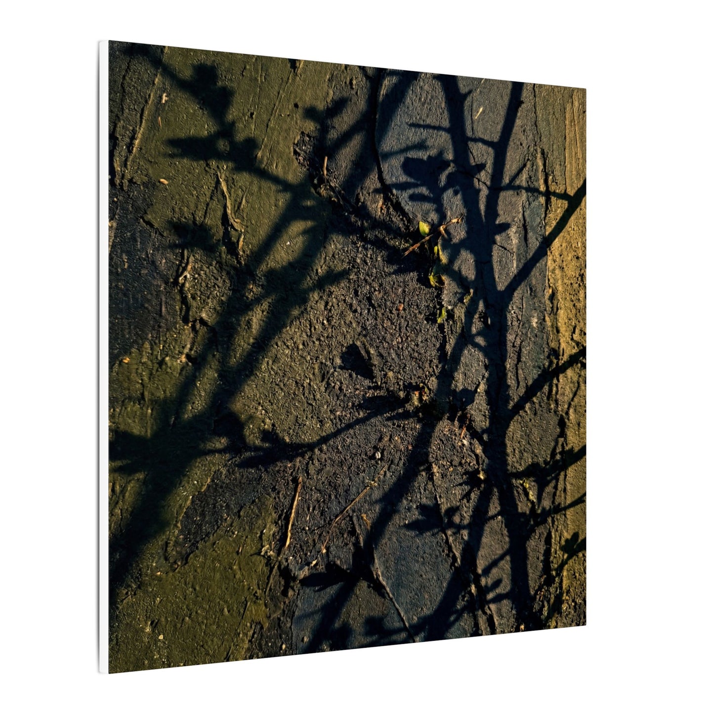Kanso Shadow Play Canvas Art - Dark Japandi Dark Texture