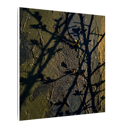 Kanso Shadow Play Canvas Art - Dark Japandi Dark Texture