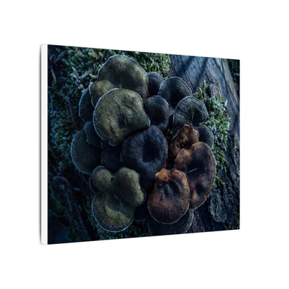 Wild Mushrooms Moody Minimal Canvas Art | Moody Dark Japandi Art