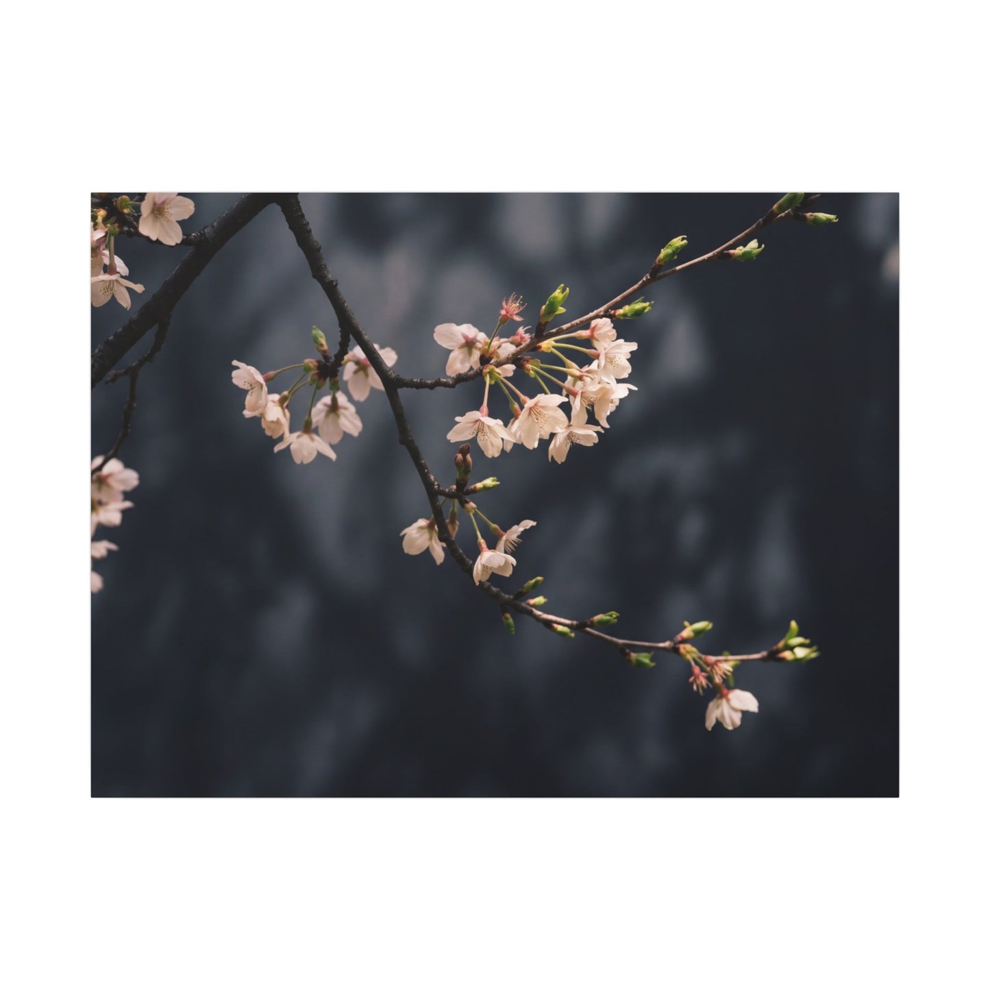 Cherry Blossom Moody Minimal Canvas Art | Bold Dark Japandi Art