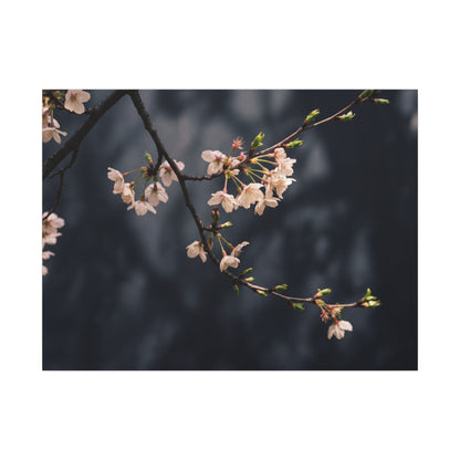 Cherry Blossom Moody Minimal Canvas Art | Bold Dark Japandi Art